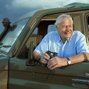 Suffolk is set to appear again on Sir David Attenborough's latest wildlife series
