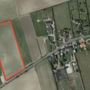 Farming land to be turned into paid dog walking space