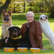 Paul O'Grady, who was known for a love of dogs, has died aged 67