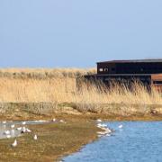RSPB Minsmere has been shortlisted for UNESCO World Heritage status