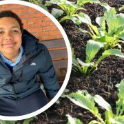A 'truly inspirational' 14-year-old has been praised after he took it upon himself to start weeding Stowmarket's pavements.