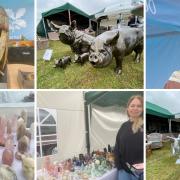 There are many hidden treasures to be found at quirky stands around the Suffolk Show.