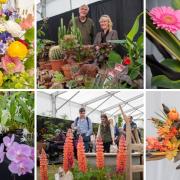 The flower show is always a popular stop for visitors to the Suffolk Show.