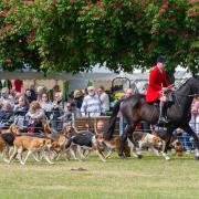 The Parade of Hounds is an unmissable part of the Suffolk Show. Image: Charlotte Bond
