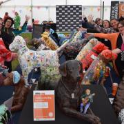 The 42 brightly coloured dog sculptures making up the PAWS-itvity campaign were finally unveiled at the Suffolk Show. Image: Suffolk Libraries
