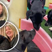A Mildenhall doggy daycare run by three sisters and their mum is leaving their home of 12 years to move into an 'exciting' new space in the village.