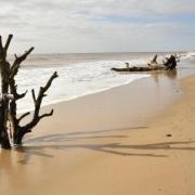 Covehithe beach in Suffolk has been recognised by a national newspaper