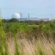 Sizewell B is earmarked to power Sizewell C's desalination plant
