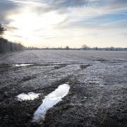 Frost could hit Suffolk by this weekend