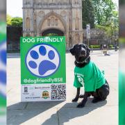 Bury St Edmunds has made it into the final of the DogFriendly Awards 2023
