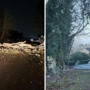 Fallen trees have been reported around the county