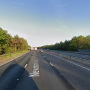 Police were called to reports of a dog being hit on the A14 this morning