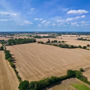 Savills expects the farmland market in the East of England to remain resilient throughout 2024