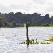 There are eight flood warnings in place across Suffolk