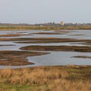 Suffolk's Treasure Island