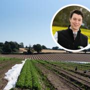 Farmers are moving away from 'risky' horticultural crops, Charles Hesketh, inset, has warned