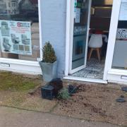 The damage to the plant pots outside Crescent Cafe in Felixstowe