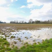 Crop fields flooded this spring have made it difficult to drill crops
