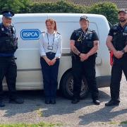 The police and RSPCA carried out the operation