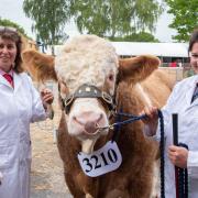 The Suffolk Show will take place this week