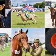 Day one of the Suffolk Show, told through pictures. Image: Charlotte Bond