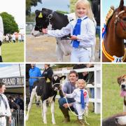Here is our final gallery of photos from this year's Suffolk Show. Image: Charlotte Bond