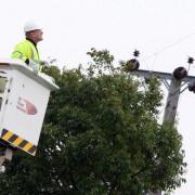 More than 800 homes are without power in Halesworth