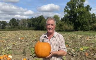 Stowupland farmer David Nunn marked his 50th harvest this year