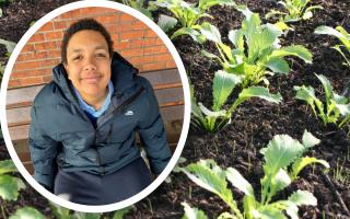 A 'truly inspirational' 14-year-old has been praised after he took it upon himself to start weeding Stowmarket's pavements.