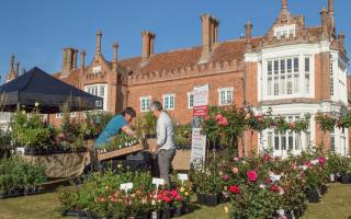 The Spring Plant Fair will return to Helmingham Hall at the end of May