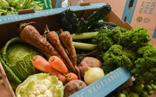 Christmas veg box from Home Farm Nacton