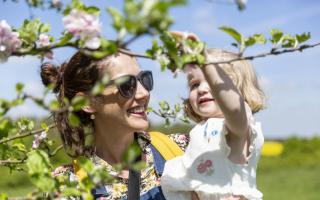 The National Trust is encouraging people to enjoy the blossom this spring